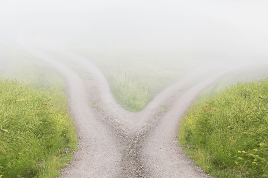 5 myter om spermidin