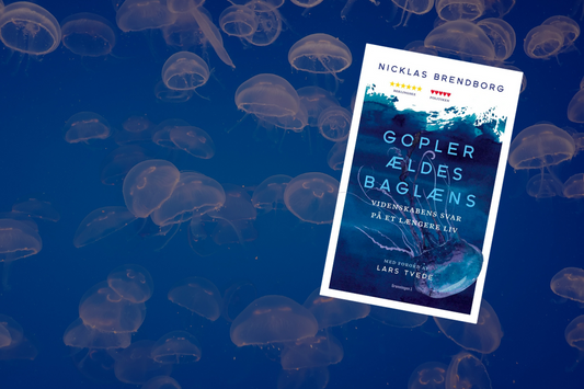 Nicklas Brendborgs 5 Gode Råd