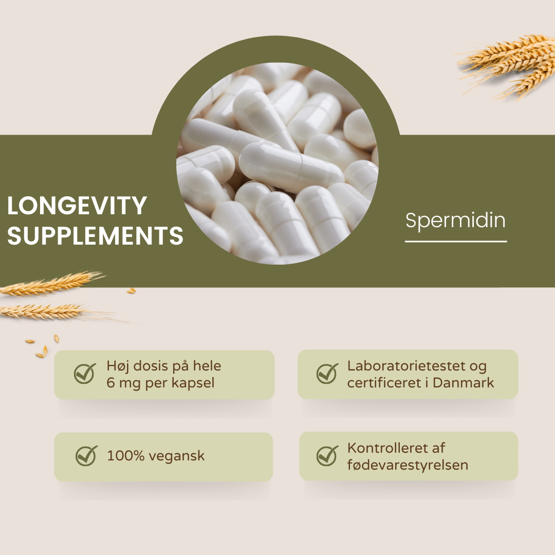 Spermidin 6 mg - 60 kapsler